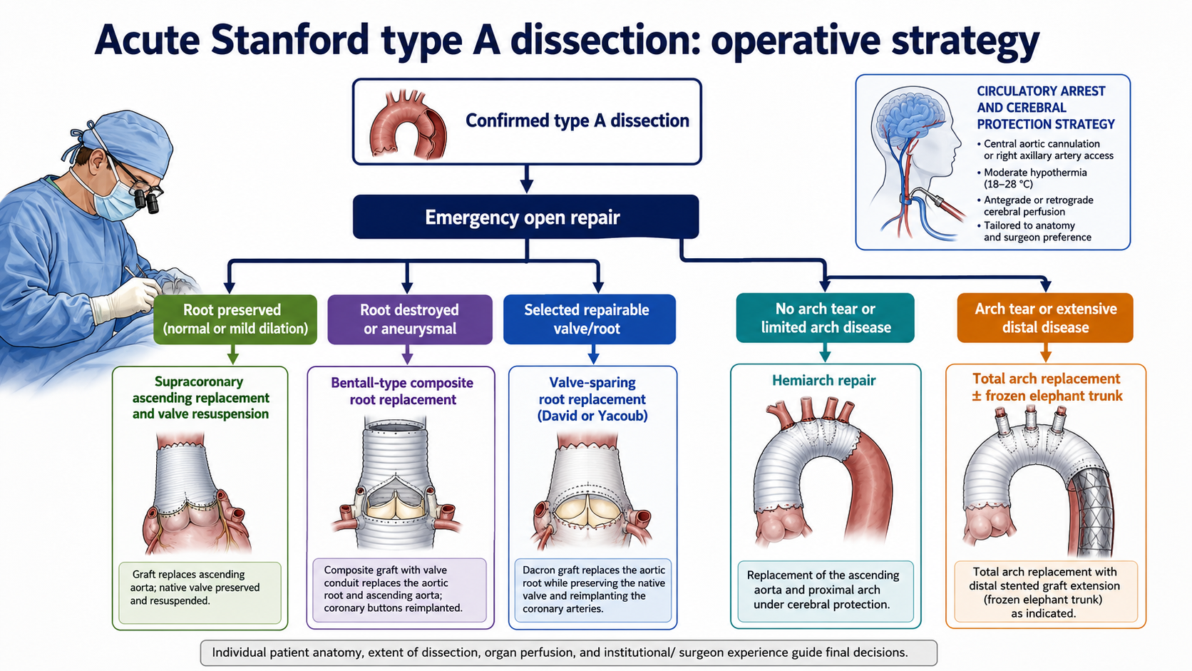 Figure 7: Type A surgical decision tree including root, ascending aorta, arch and cerebral protection choices