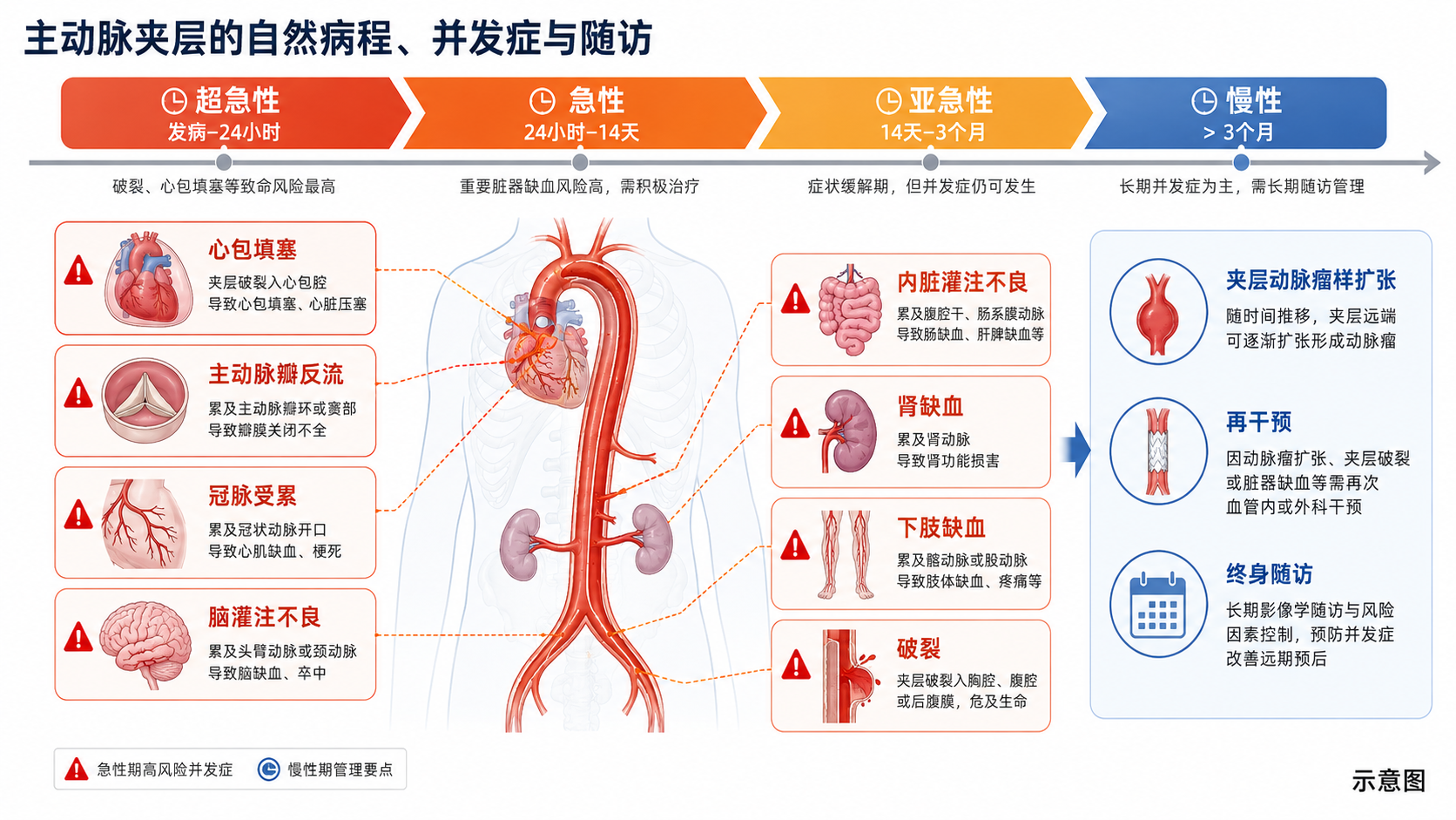 图11｜主动脉夹层自然史与并发症图