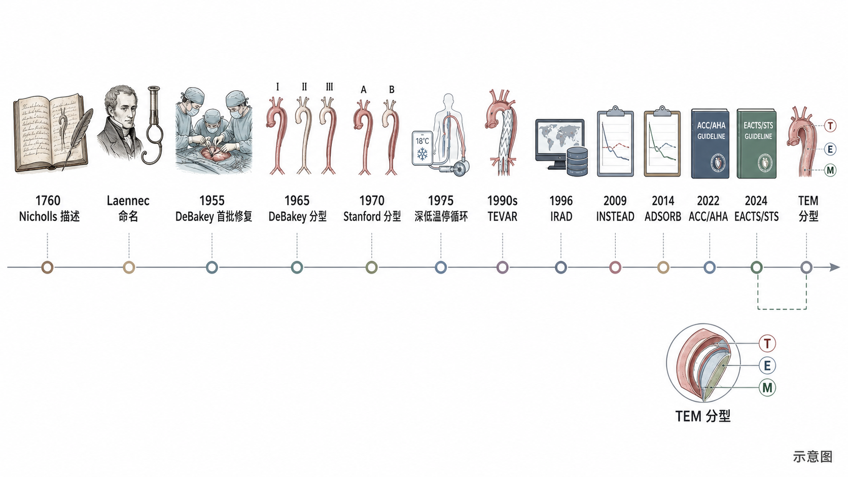 图5｜主动脉夹层指南与里程碑时间轴